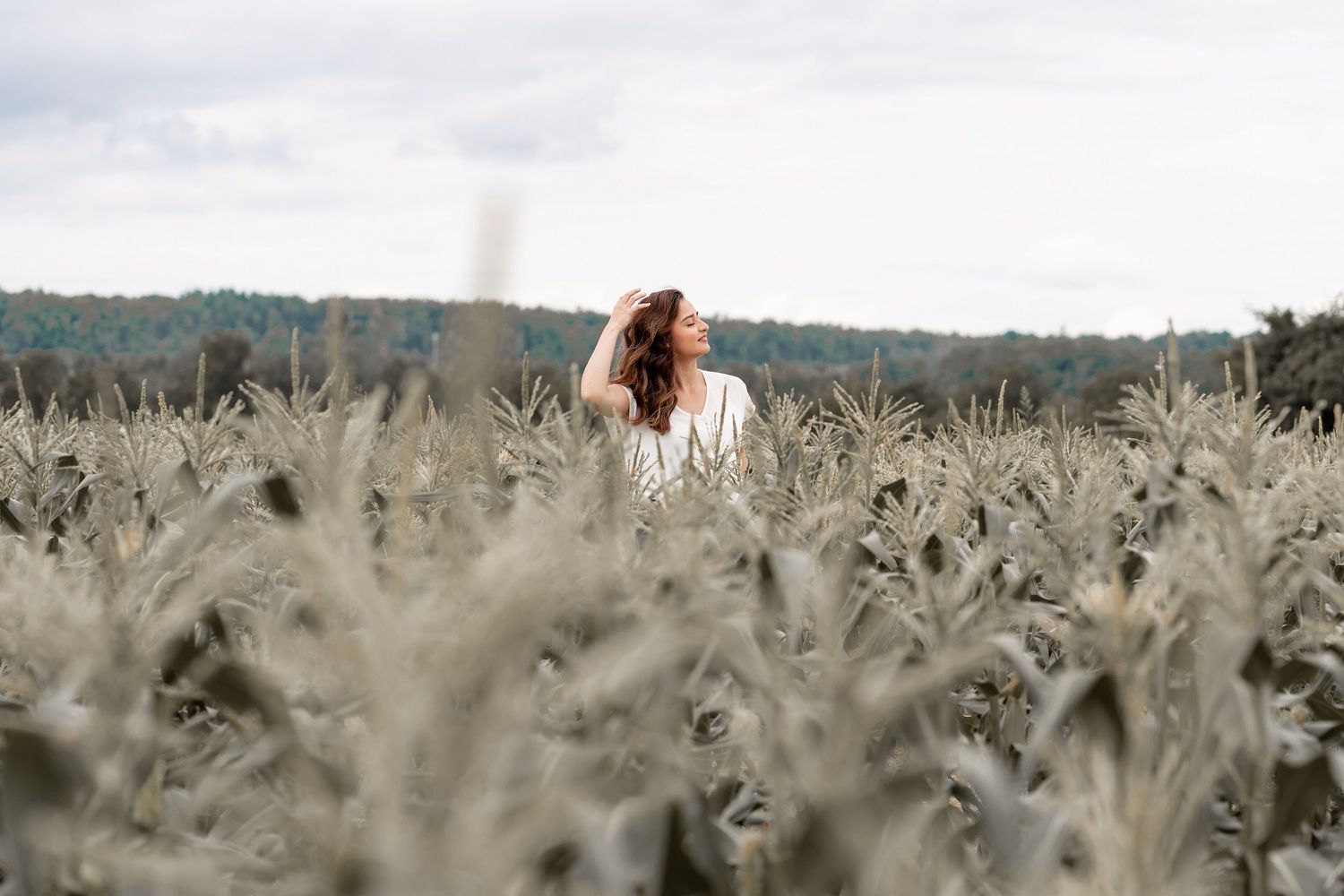 Figure surrounded by tall wheat or grain stalks on an overcast day.