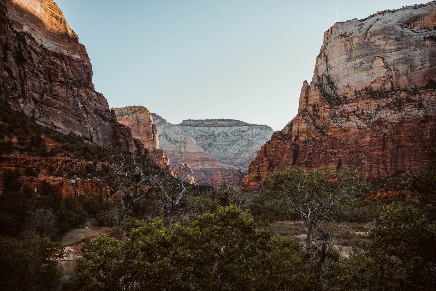 Majestic red rock canyon walls frame a scenic mountain vista with green vegetation in the foreground.