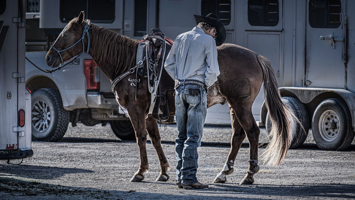 Cowboy in jeans and hat stands between two brown horses near a white trailer at a rodeo event.