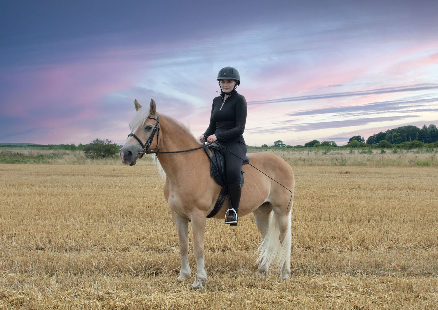 Equine portraiture