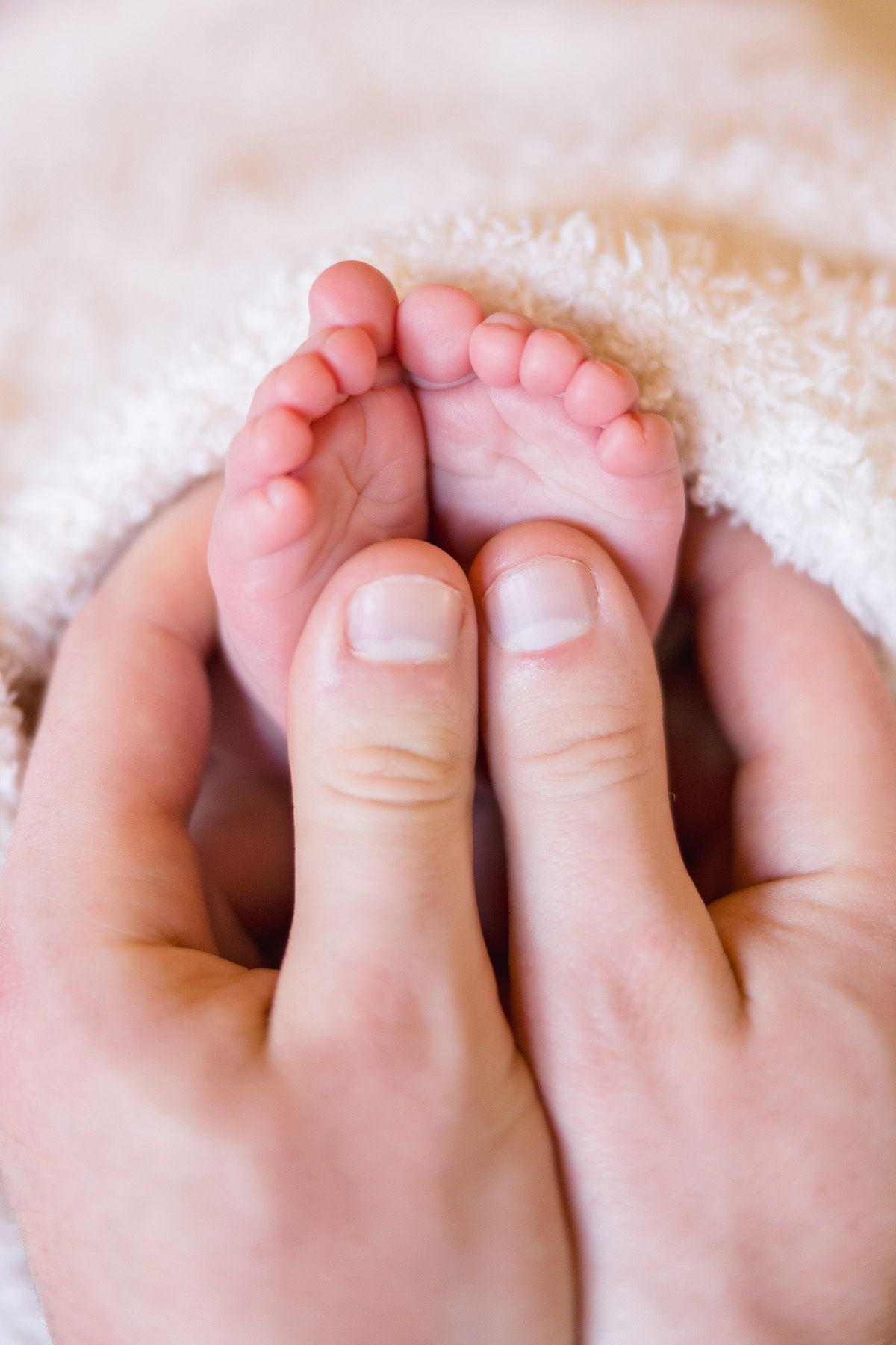 Close-up series of tiny baby toes wrapped in white blankets.