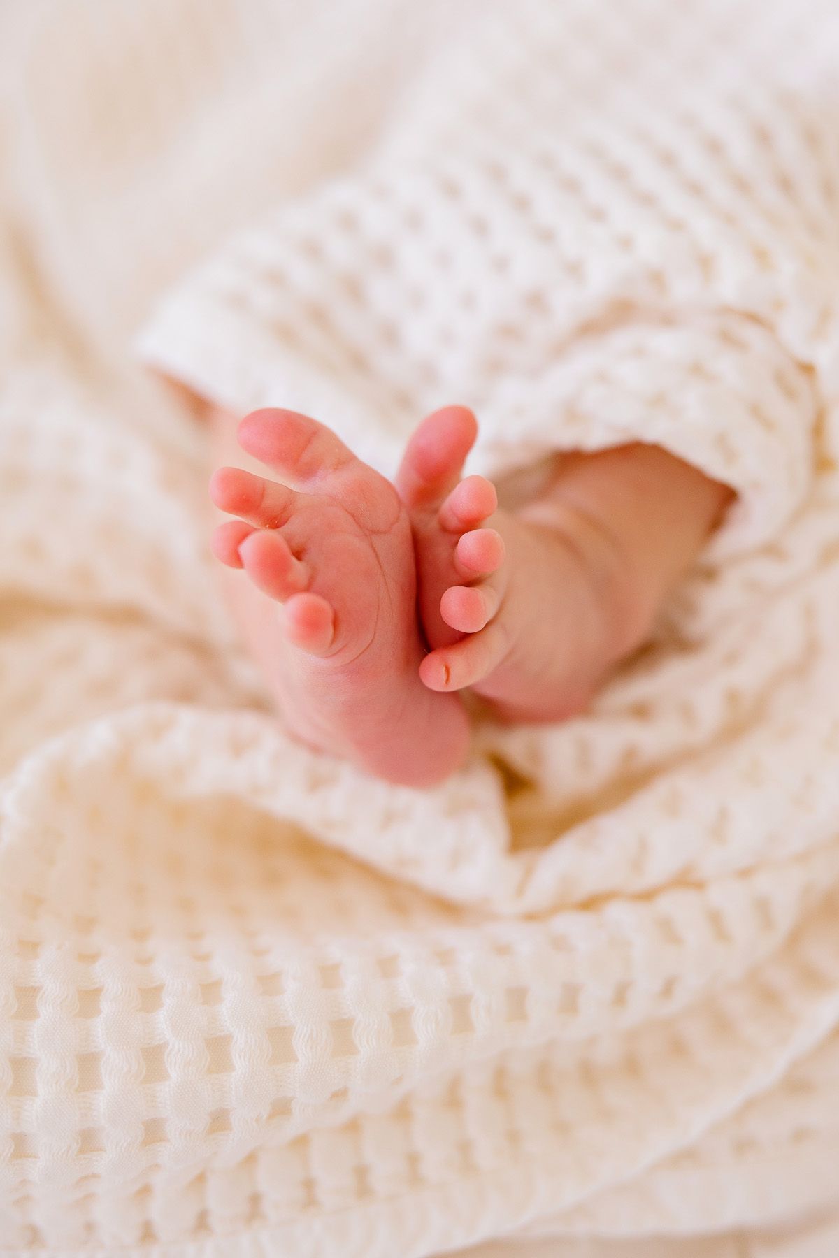 Close up of tiny newborn baby feet on white textured blanket.