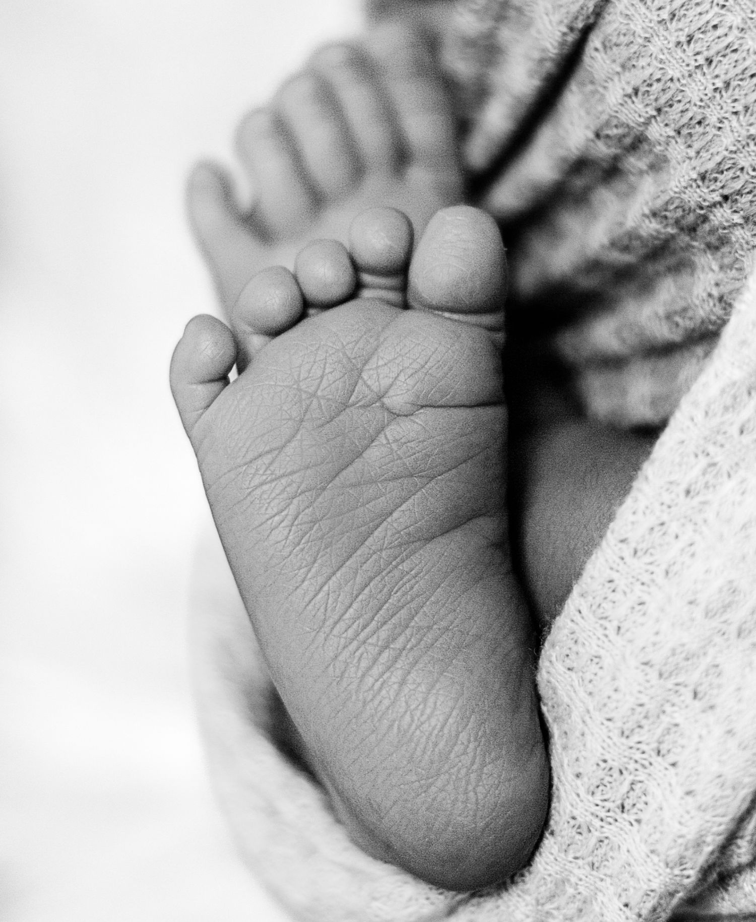 Kingston Newborn Photography | Kingston Photography | Kingston Photographer | Kingston Newborn Photographer | Kingston Newborn Session