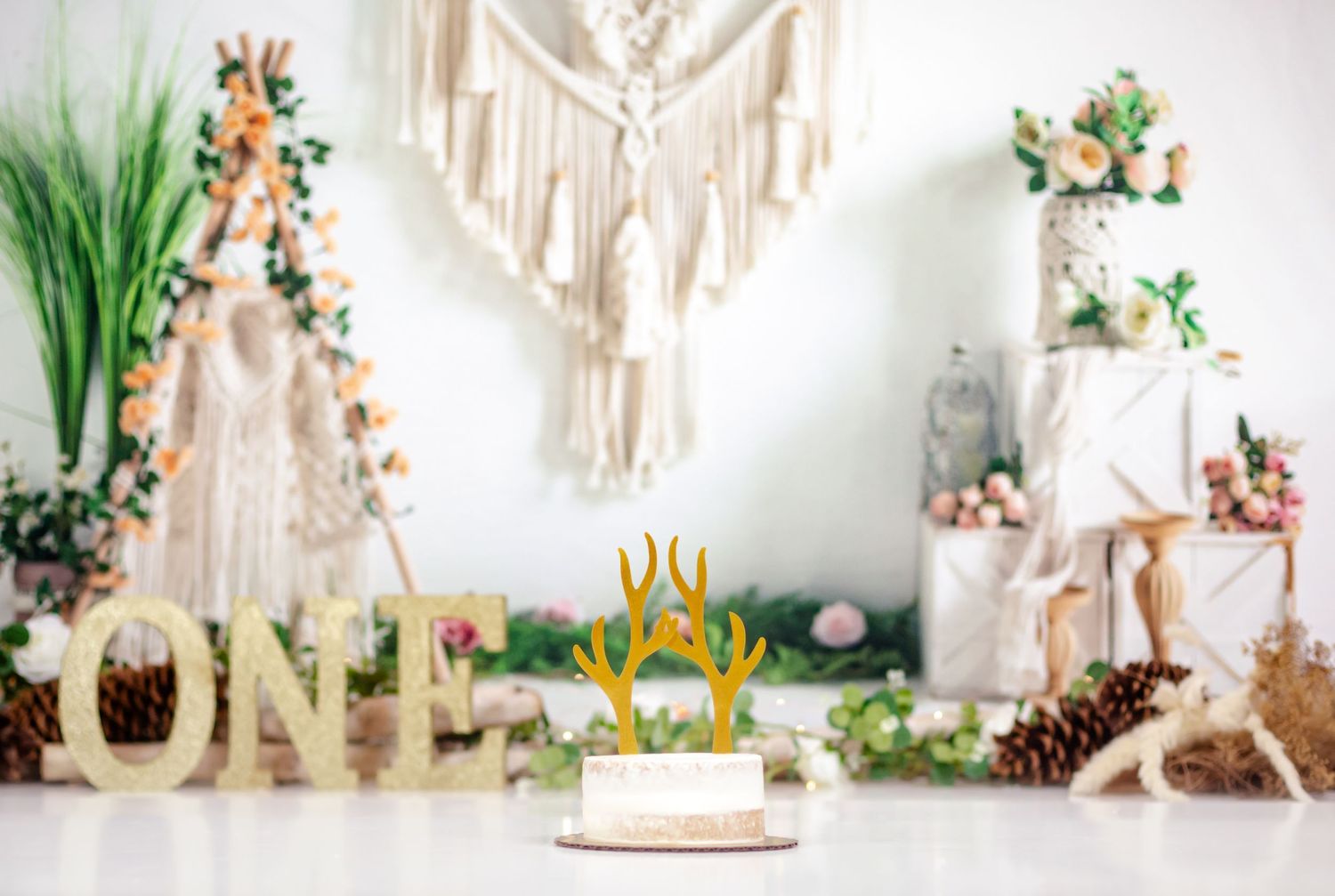 Kingston Cake Smash Photographer | Kingston Cake Smash Photography | Belleville Cake Smash Photographer | Brockville Cake Smash Photographer