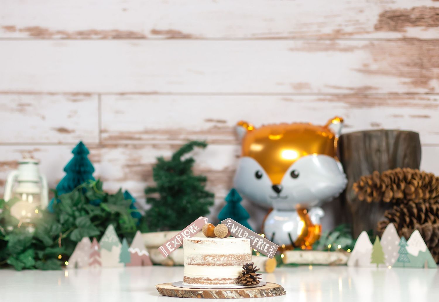 Kingston Cake Smash Photographer | Kingston Cake Smash Photography | Belleville Cake Smash Photographer | Brockville Cake Smash Photographer