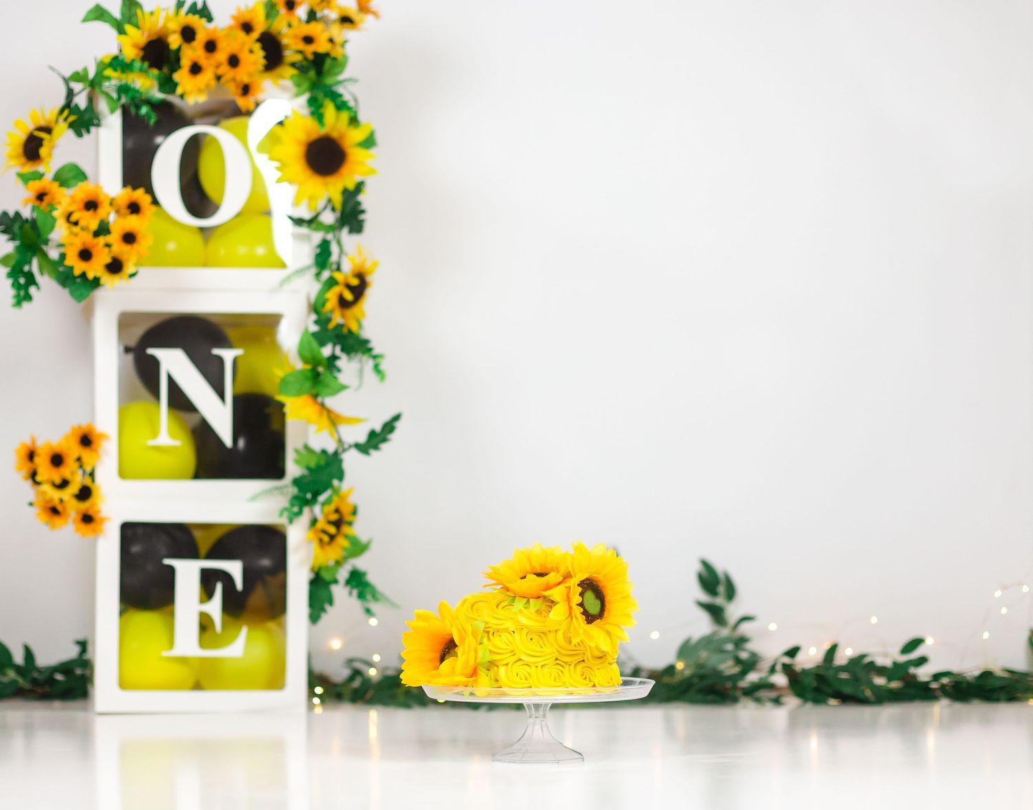 Kingston Cake Smash Photographer | Kingston Cake Smash Photography | Belleville Cake Smash Photographer | Brockville Cake Smash Photographer