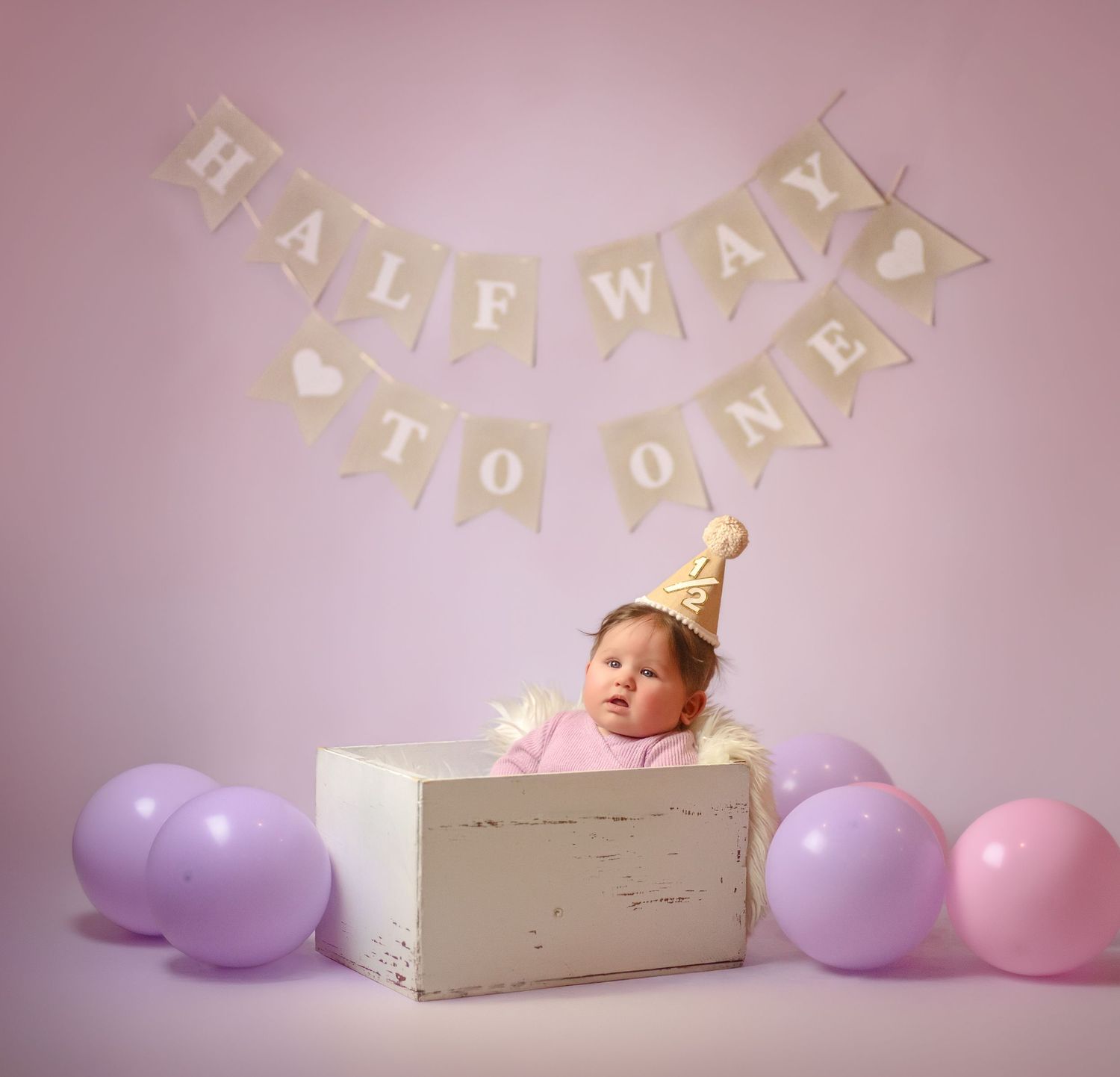 Kingston Portrait Photographer | Kingston Photography | Belleville Photographer | Brockville Photographer | Six Month Photos