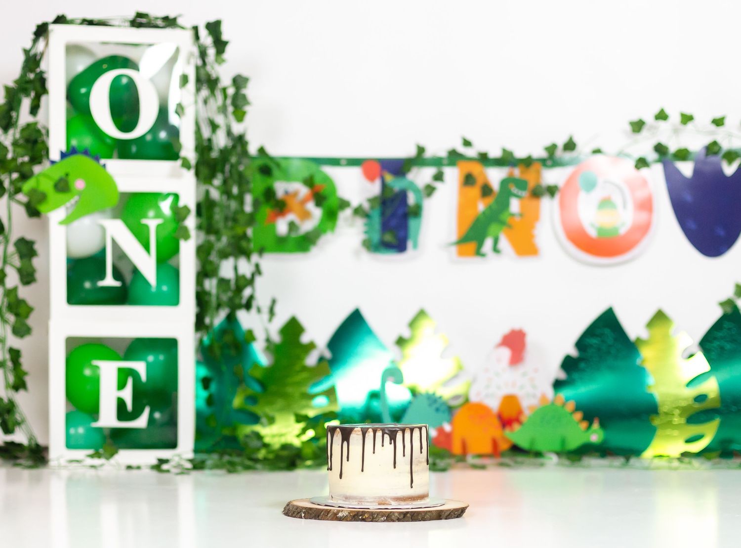 Kingston Cake Smash Photographer | Kingston Cake Smash Photography | Belleville Cake Smash Photographer | Brockville Cake Smash Photographer