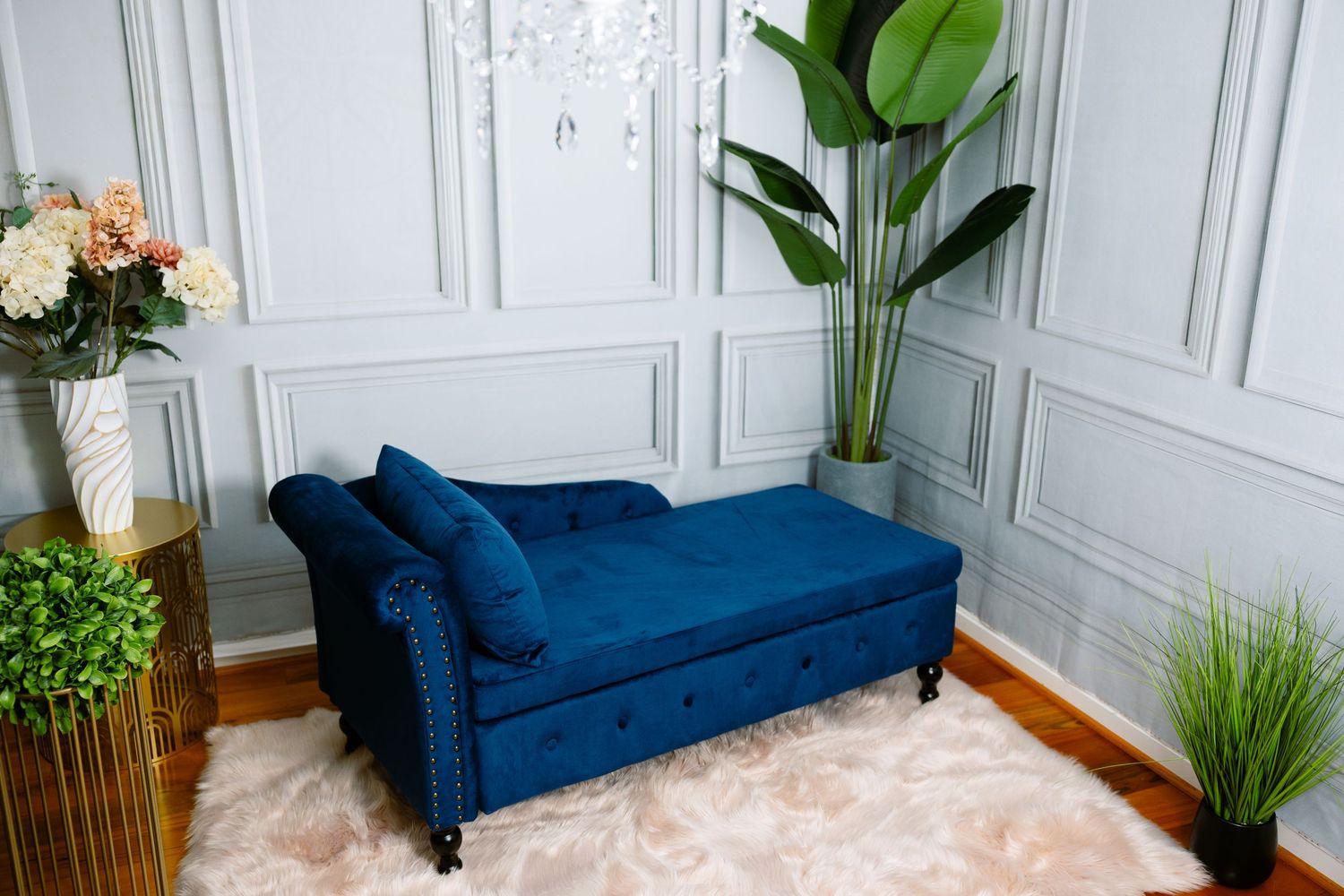 A navy blue velvet sofa sits elegantly against white paneled walls with potted plants adding natural accents, LD Photography boudoir studio.