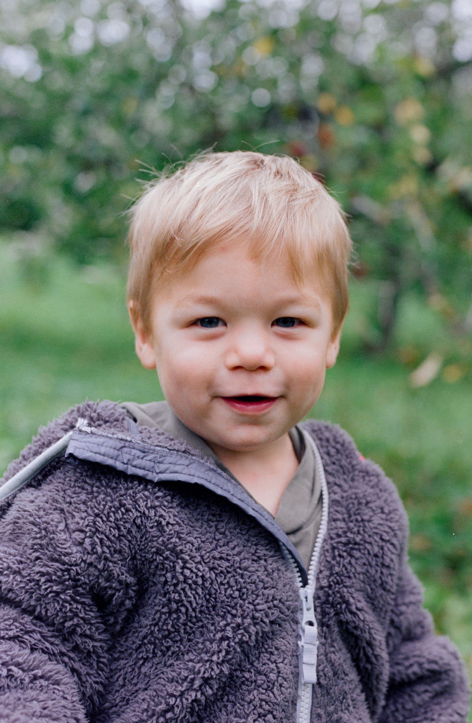 Blonde toddler in an apple orchard