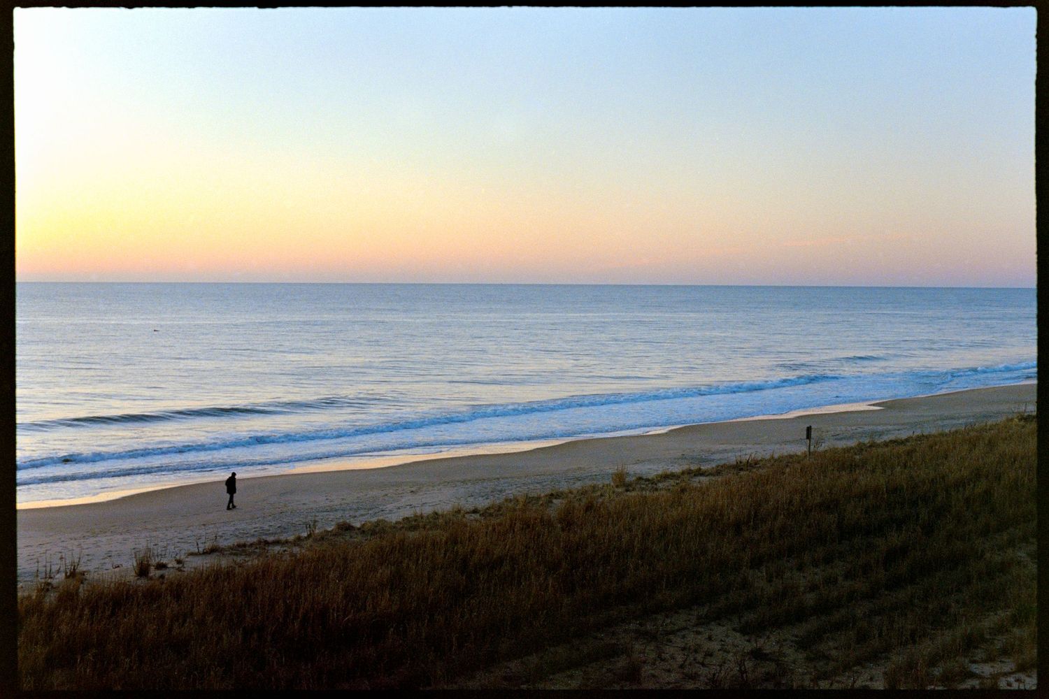 A sunrise at the beach. The foreground beach vegetation is still dark; the sky glows with light pastel colors.