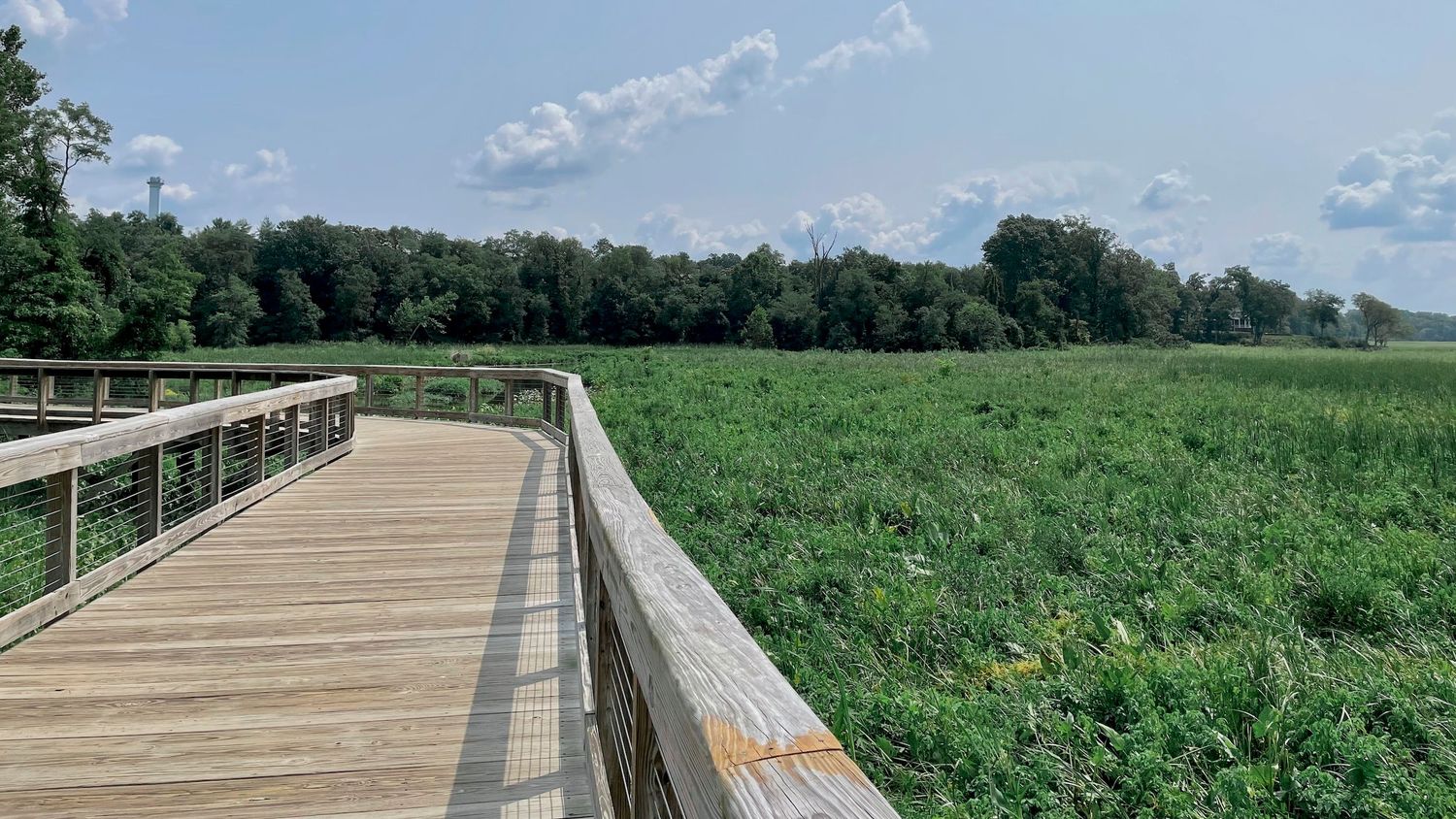 A wooden boardwalk spans over the vibrant green wetlands of Neabsco Creek.