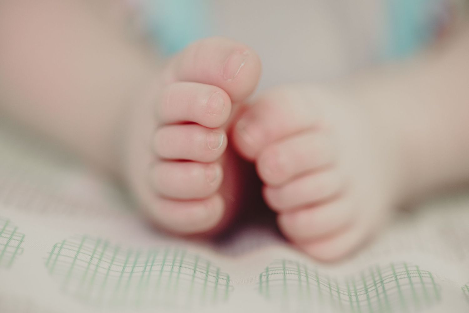 Portrait of a baby's feet
