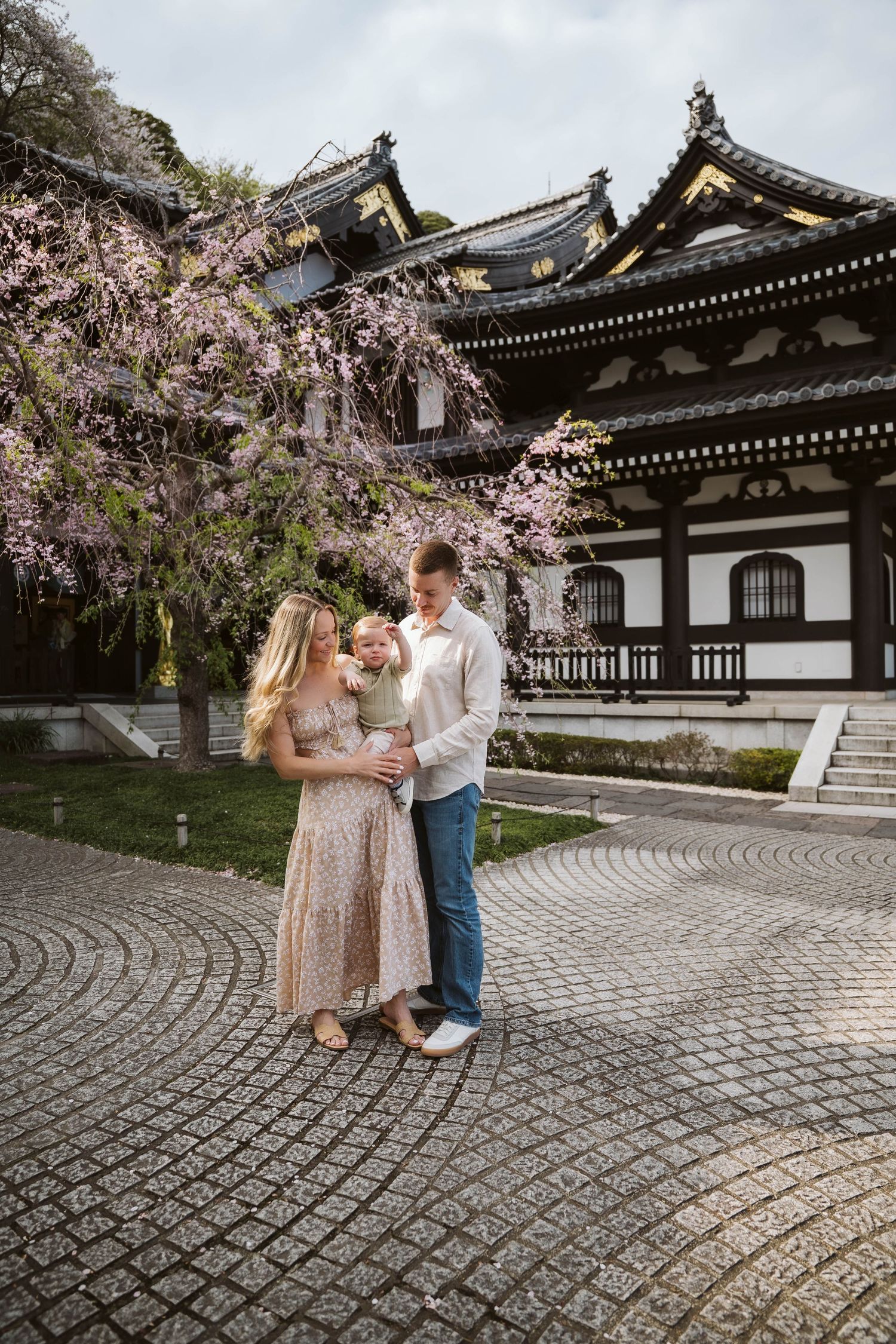 A romantic moment unfolds at a traditional Japanese temple with blooming cherry blossoms and cobblestone paths.