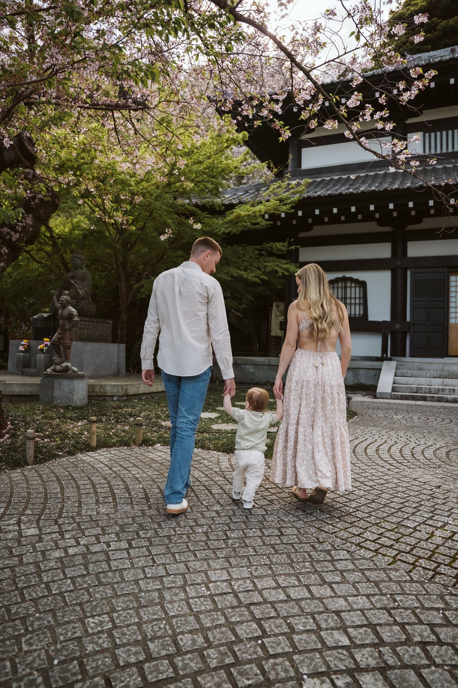 Cherry blossoms frame a family strolling along cobblestone path near Japanese temple buildings.