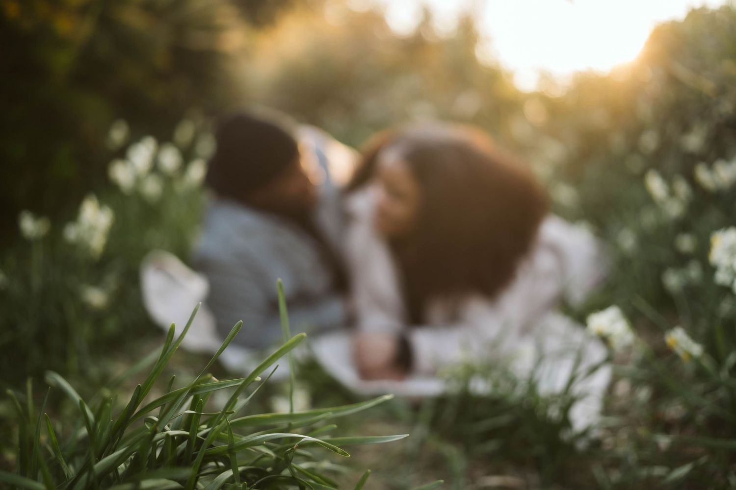 A brown and white spaniel dog rests peacefully in green grass at sunset with dreamy bokeh lighting.