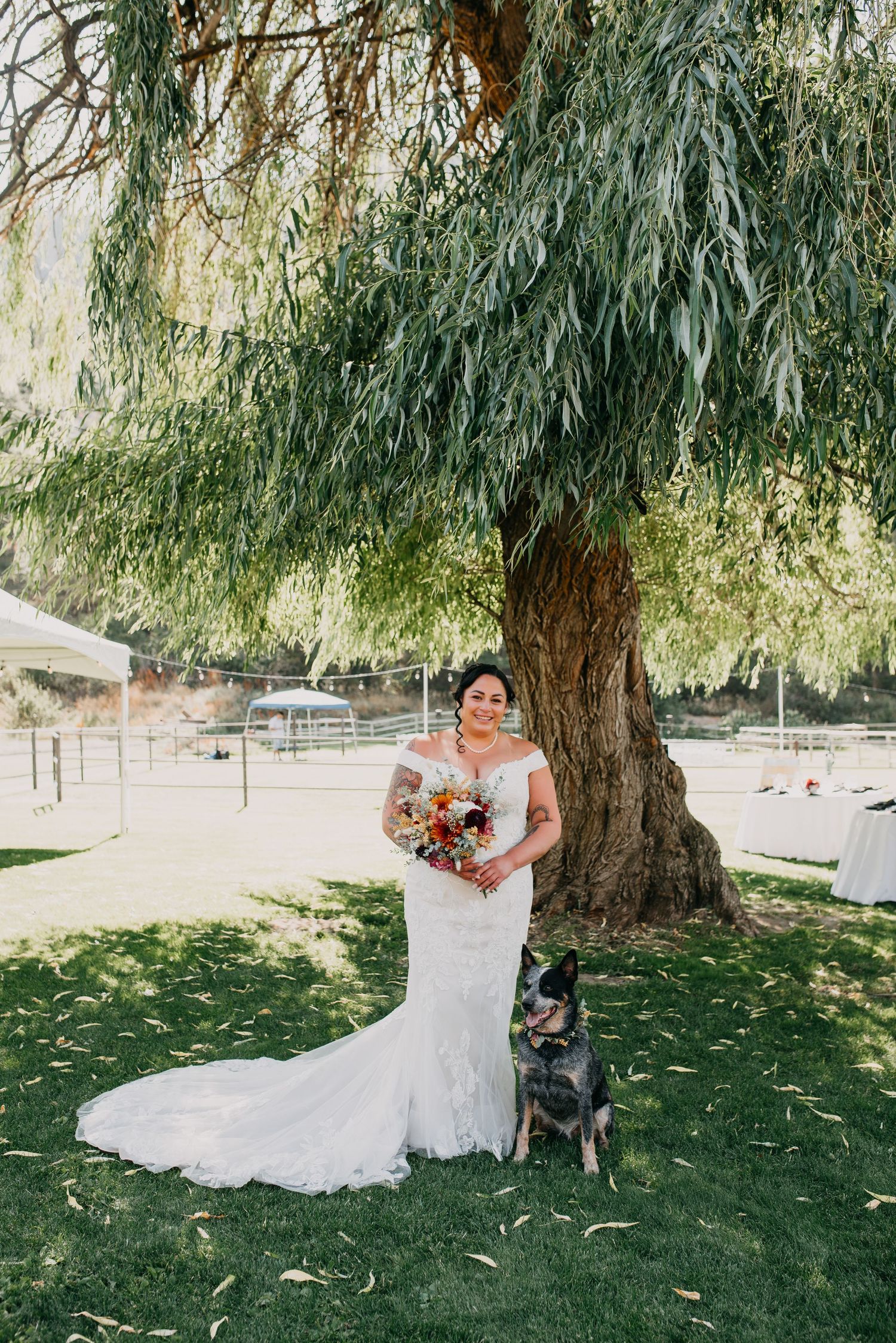 Bride in lace mermaid gown holding colorful bouquet poses with dog under large willow tree.