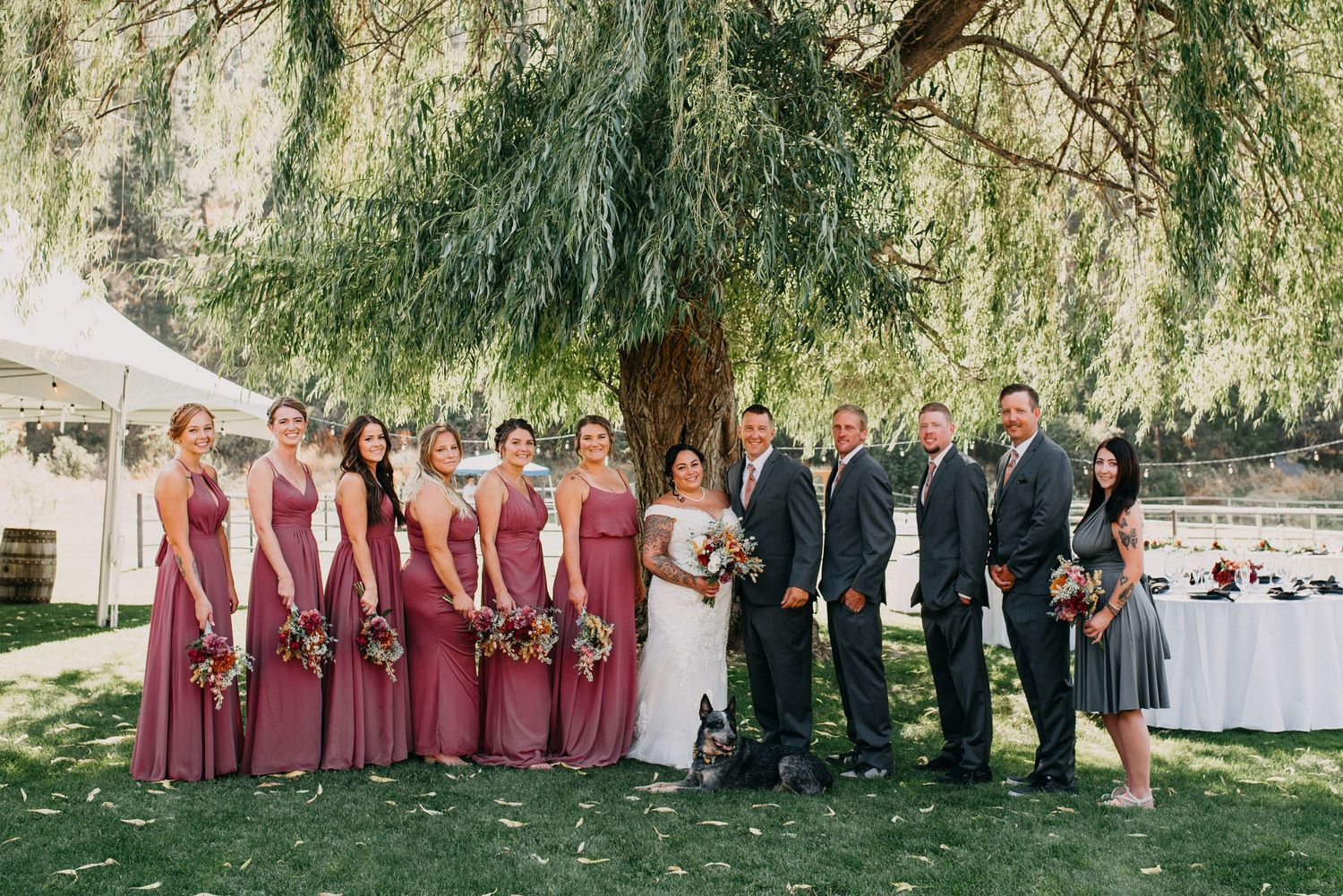 Wedding party poses under willow tree with bridesmaids in dusty rose gowns and groomsmen in suits.