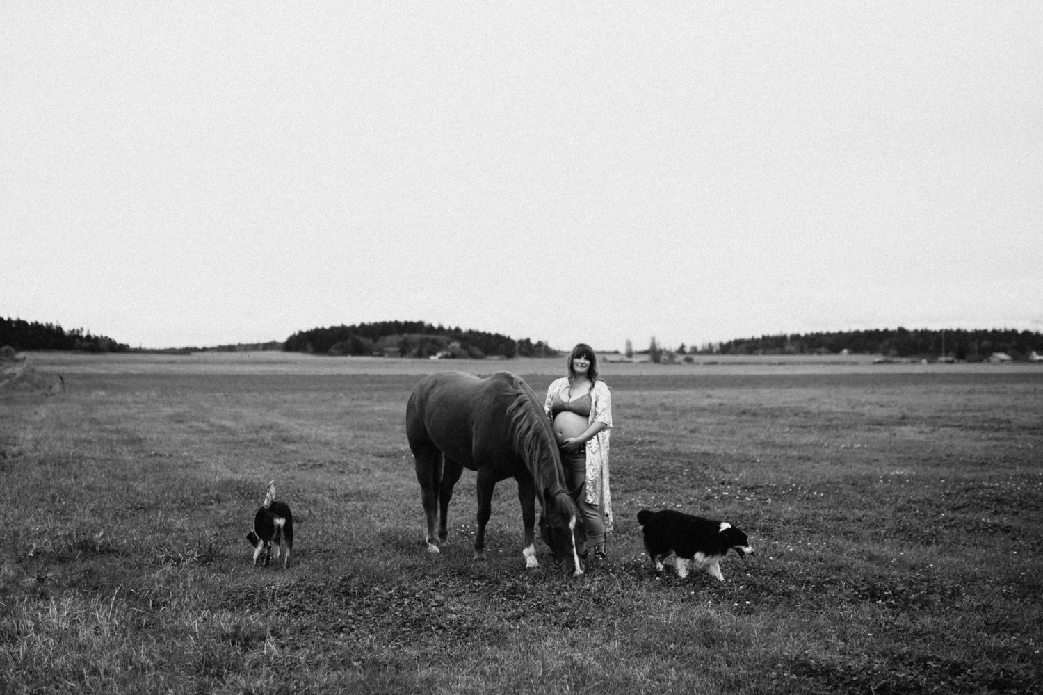 Black and white photo of pregnant woman standing with horse and two border collies in open field.