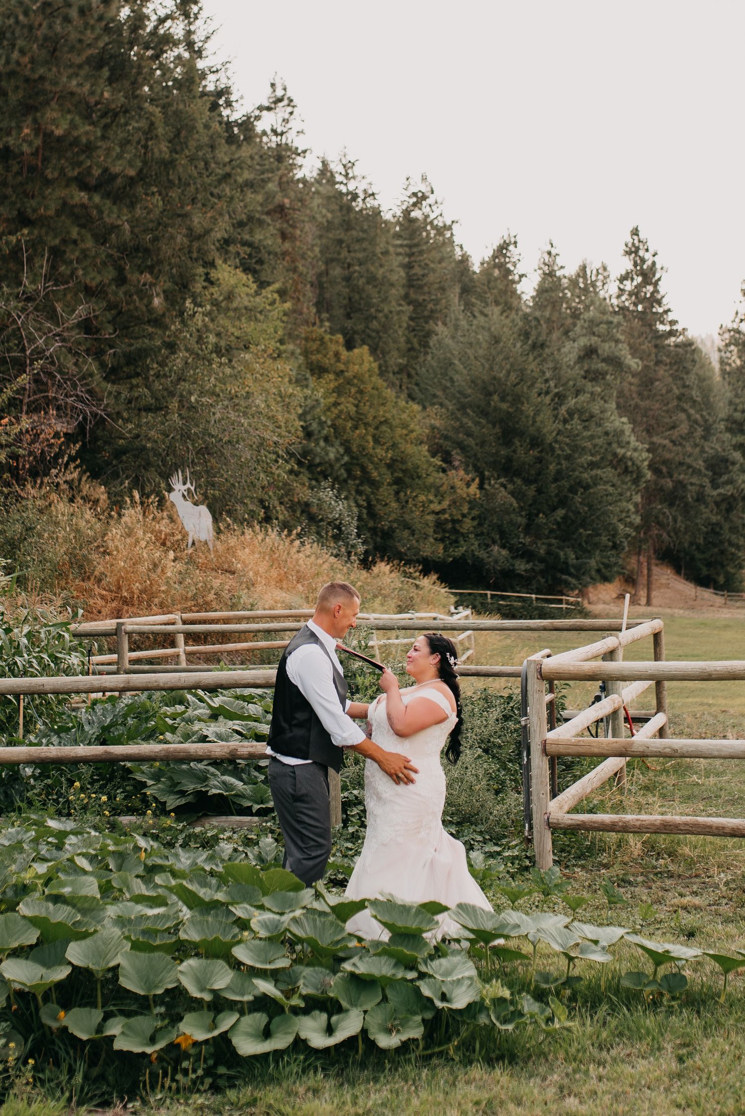 Bride and groom dancing together by rustic wooden fence with evergreen forest backdrop at outdoor wedding.