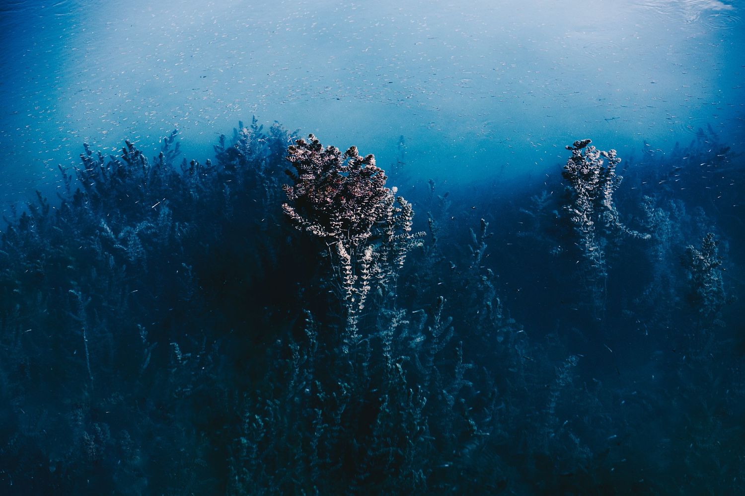 Aerial abstract view of dark blue icy water with jagged rock formations breaking the surface.