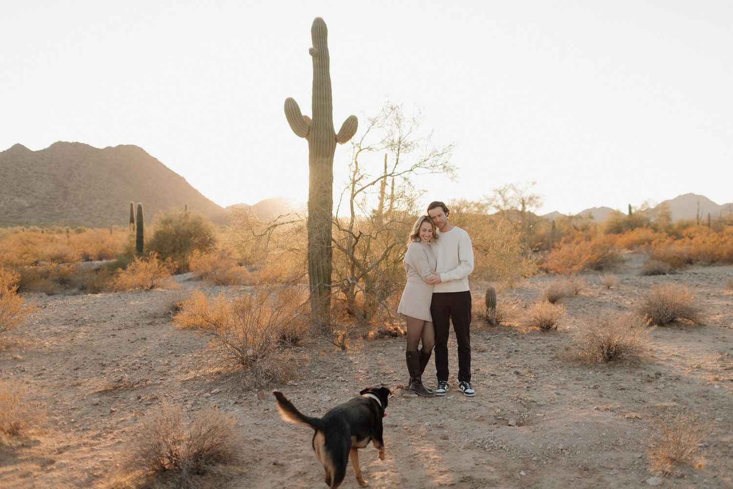 A dog and couple stand near tall saguaro cactus in Arizona desert landscape during golden hour.