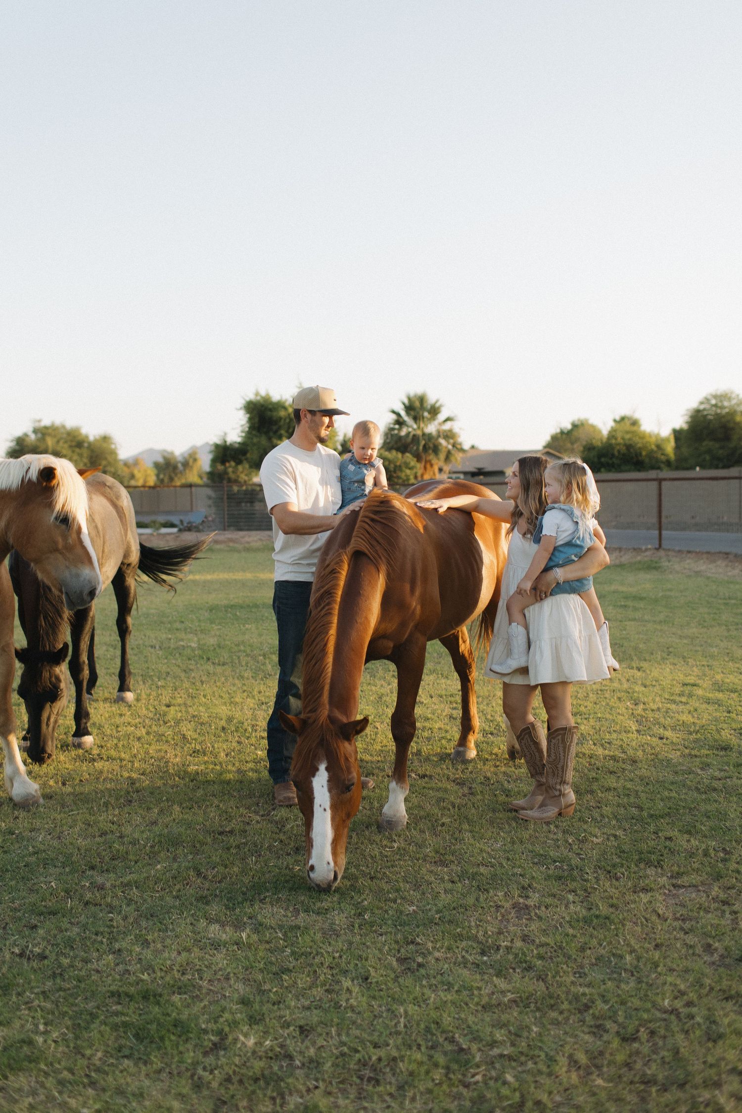Family with two young children petting brown horses in a sunny green pasture during golden hour.