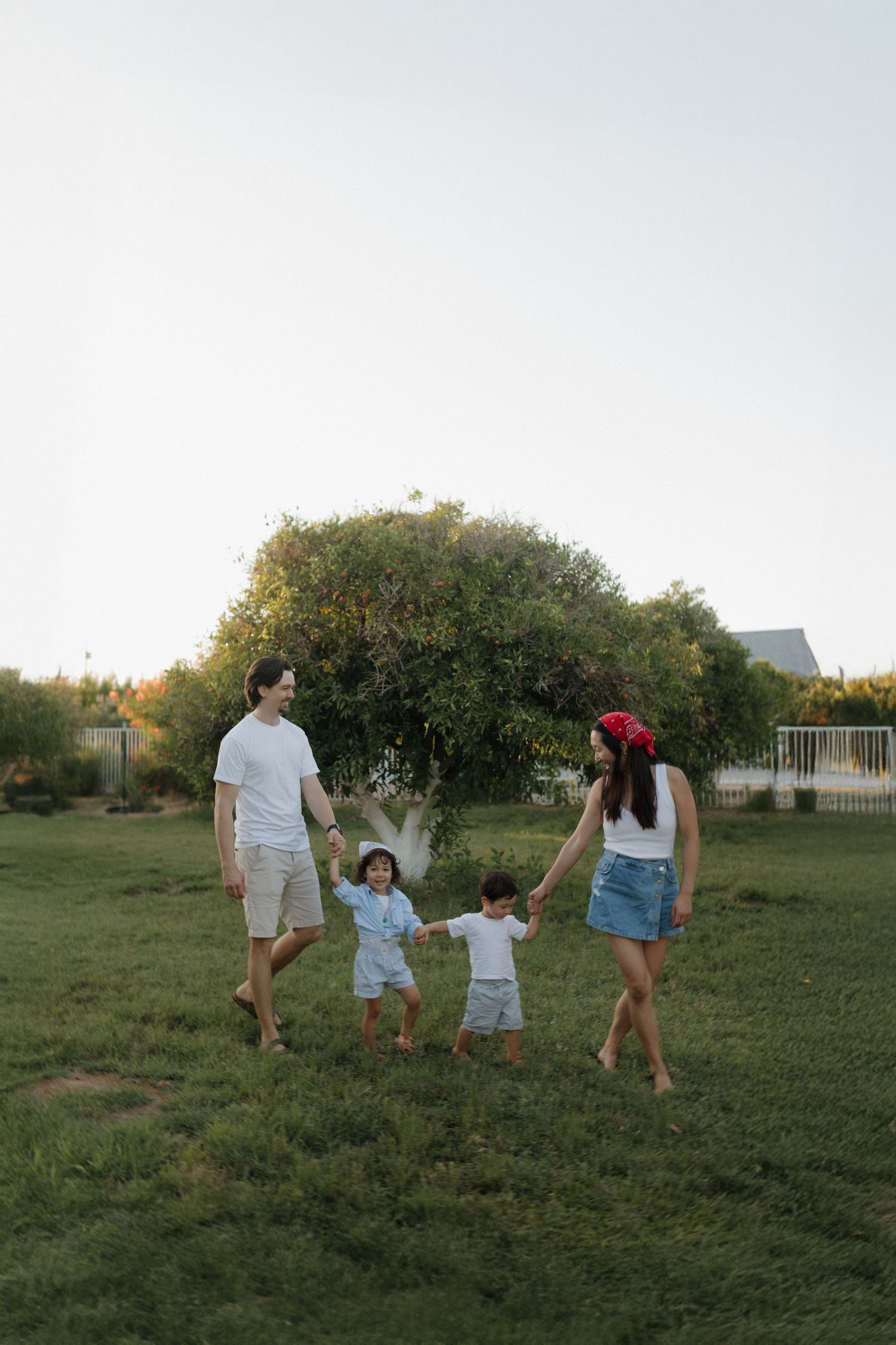 A family walks together holding hands in a backyard tangerine grove at sunset