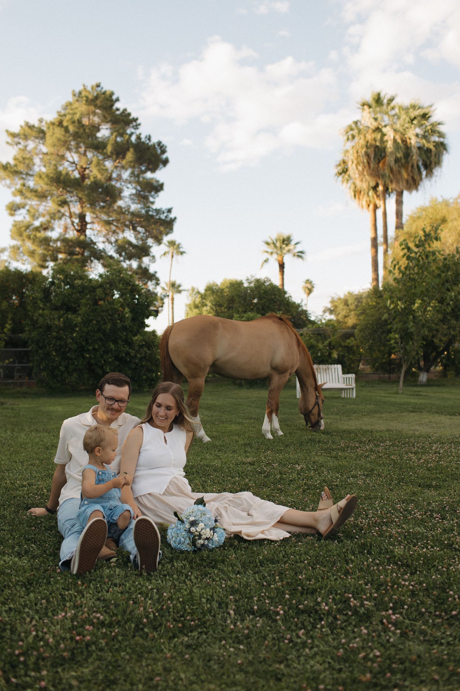 Family sitting on lush green grass with a grazing horse and palm trees in a sunny outdoor setting.