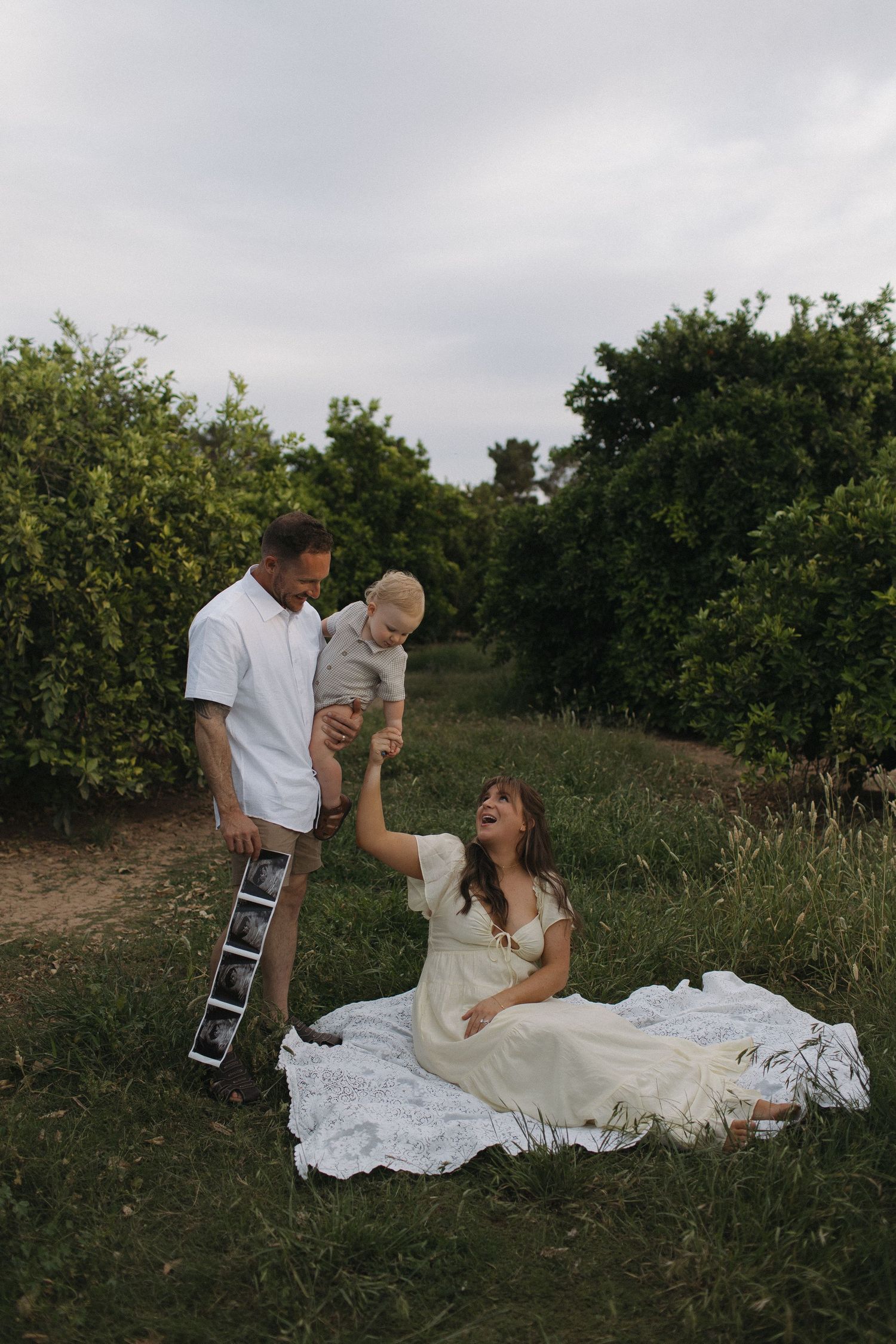 Family maternity photo shoot in orchard, woman in white dress sitting on blanket, man holding toddler and ultrasound photos.