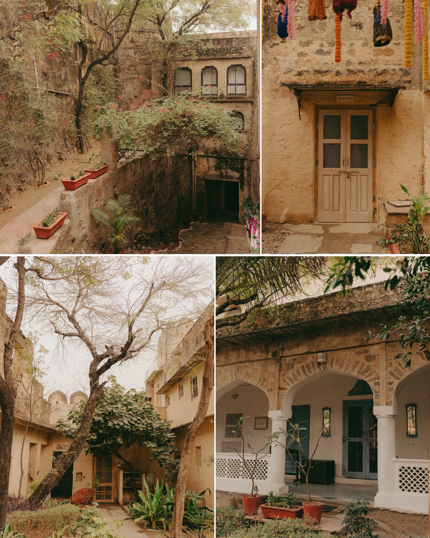 Rustic Indian heritage haveli with stone archways, lush courtyard trees, terracotta pots, and traditional wooden doors in warm earthy tones.