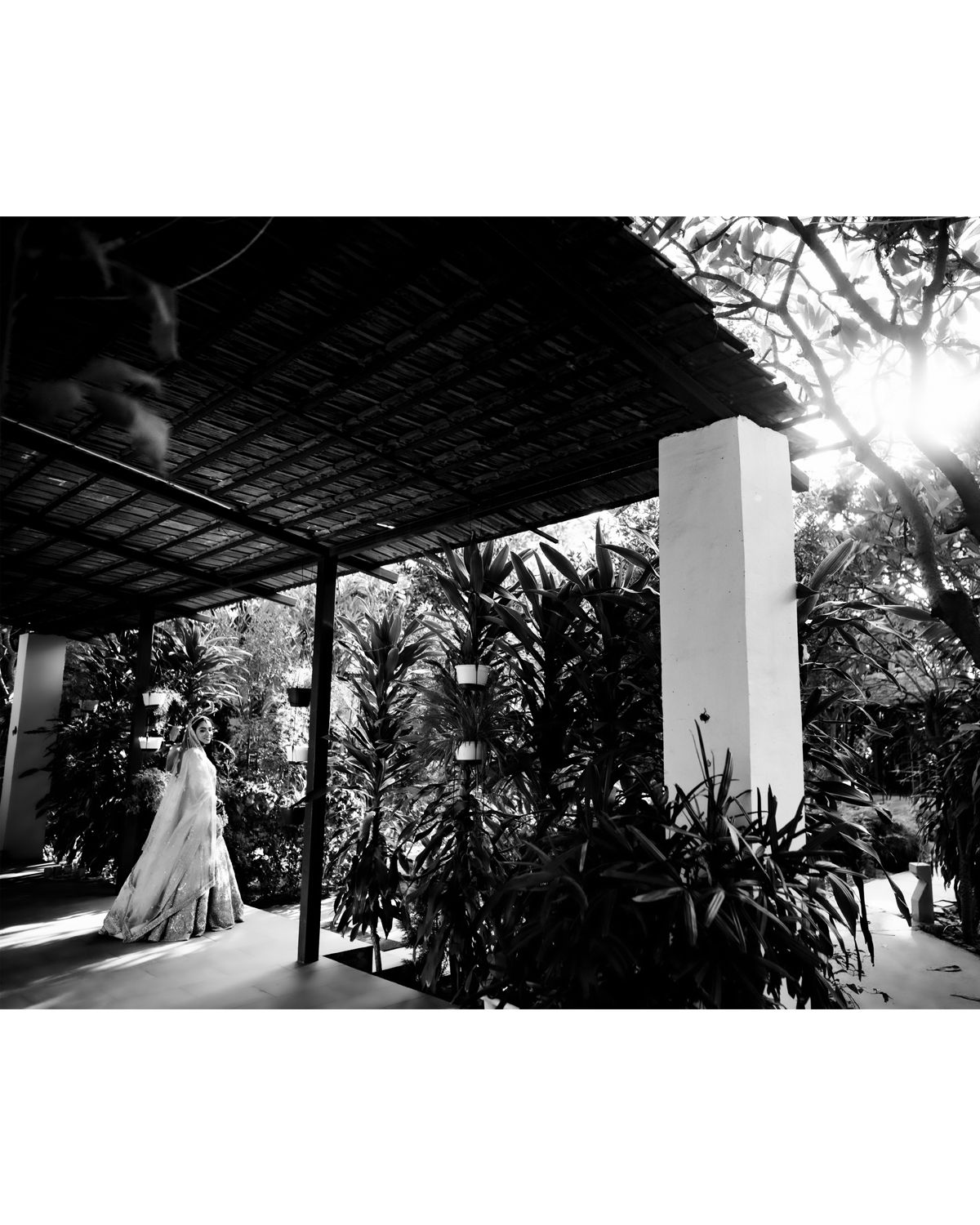 A sunlit outdoor patio with tropical plants and palm trees under a covered pergola in black and white.