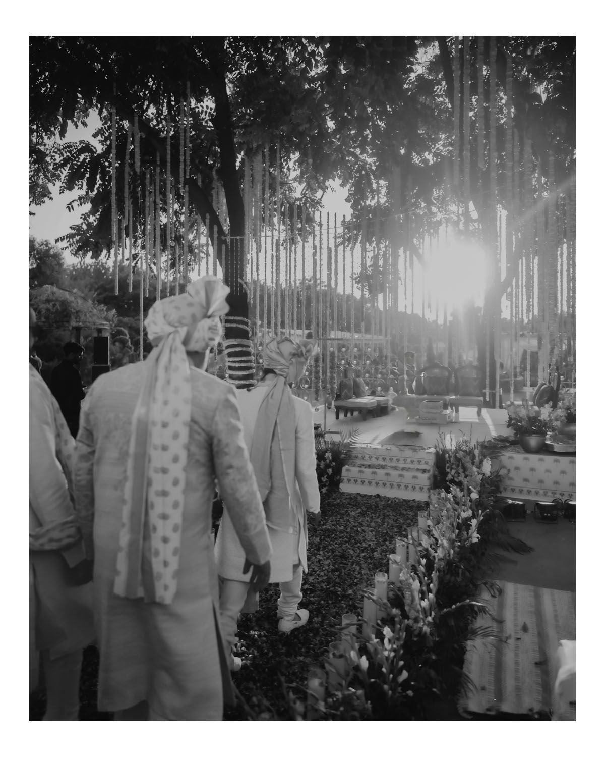 Black and white photo showing a decorative garden setting with hanging elements and tropical foliage in filtered sunlight.
