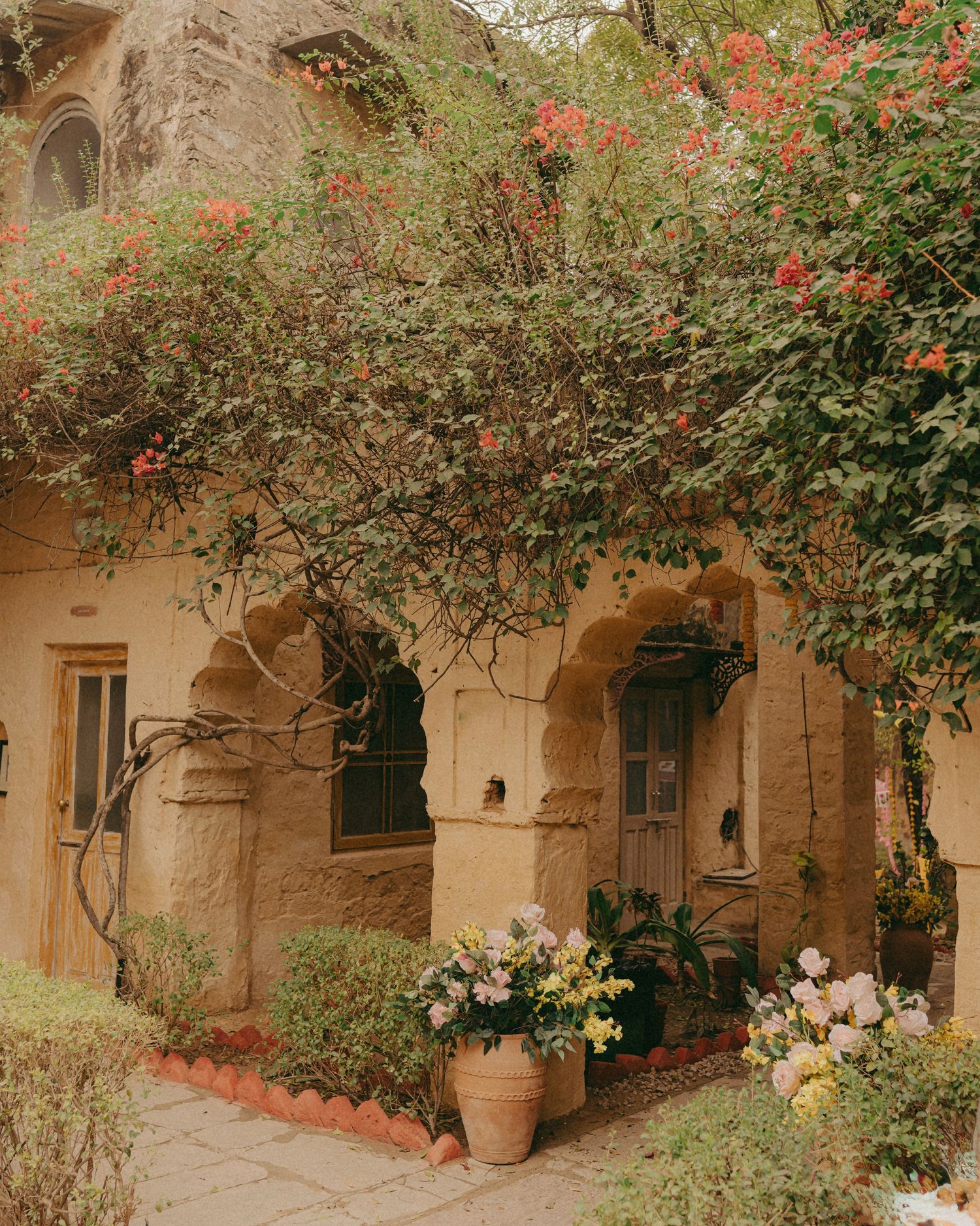 Rustic sandstone building with arched doorways covered in lush climbing vines and vibrant red bougainvillea flowers.