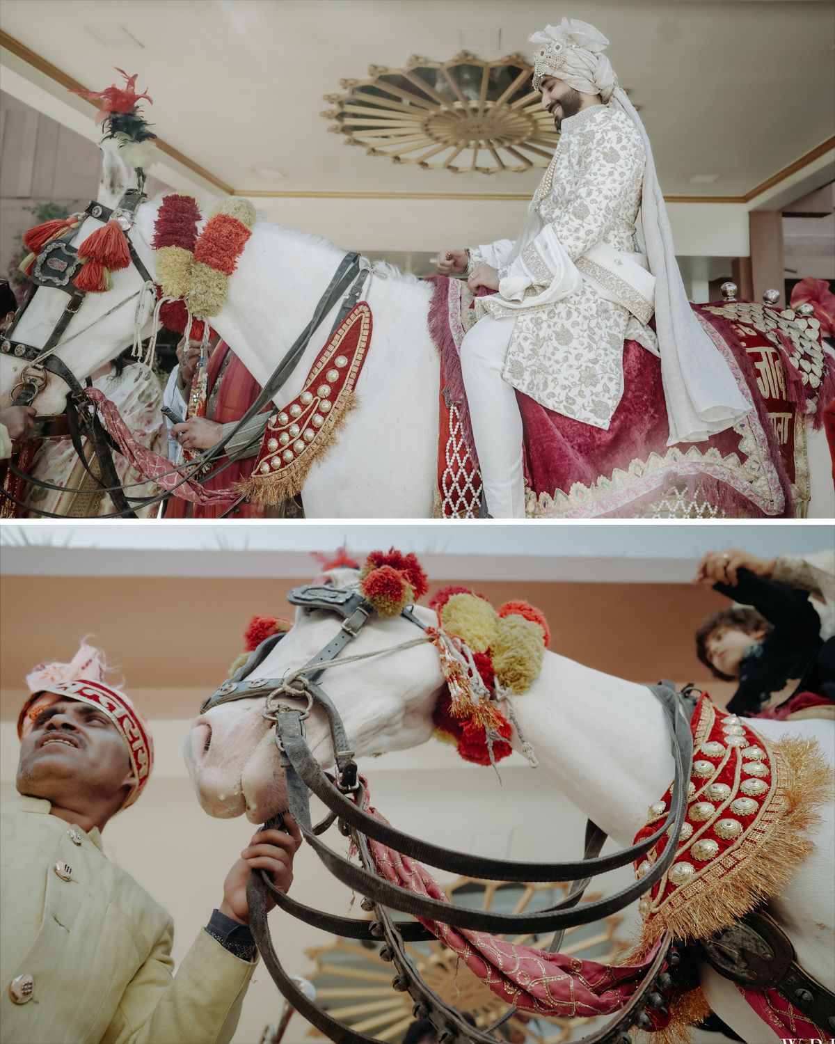Decorated ceremonial horse with ornate red and gold trappings for an Indian wedding baraat procession.