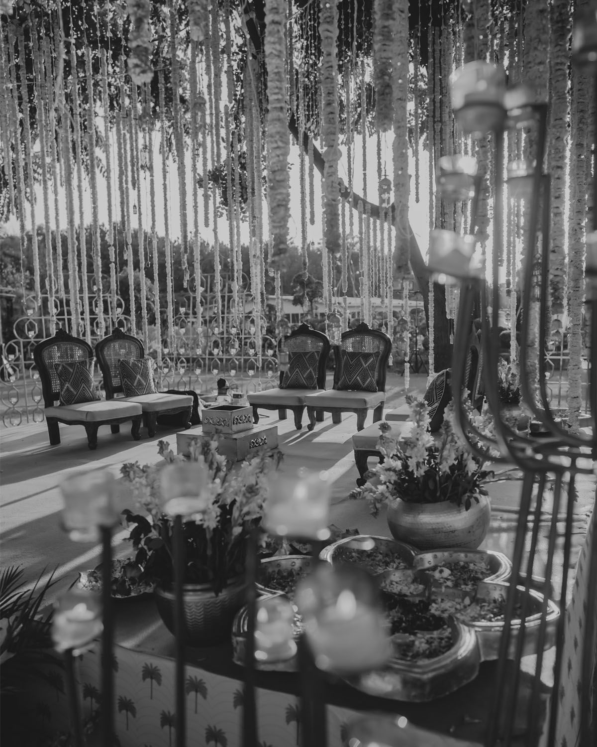 Vintage black and white photograph shows an elegant conservatory with antique chairs and potted plants in filtered sunlight.