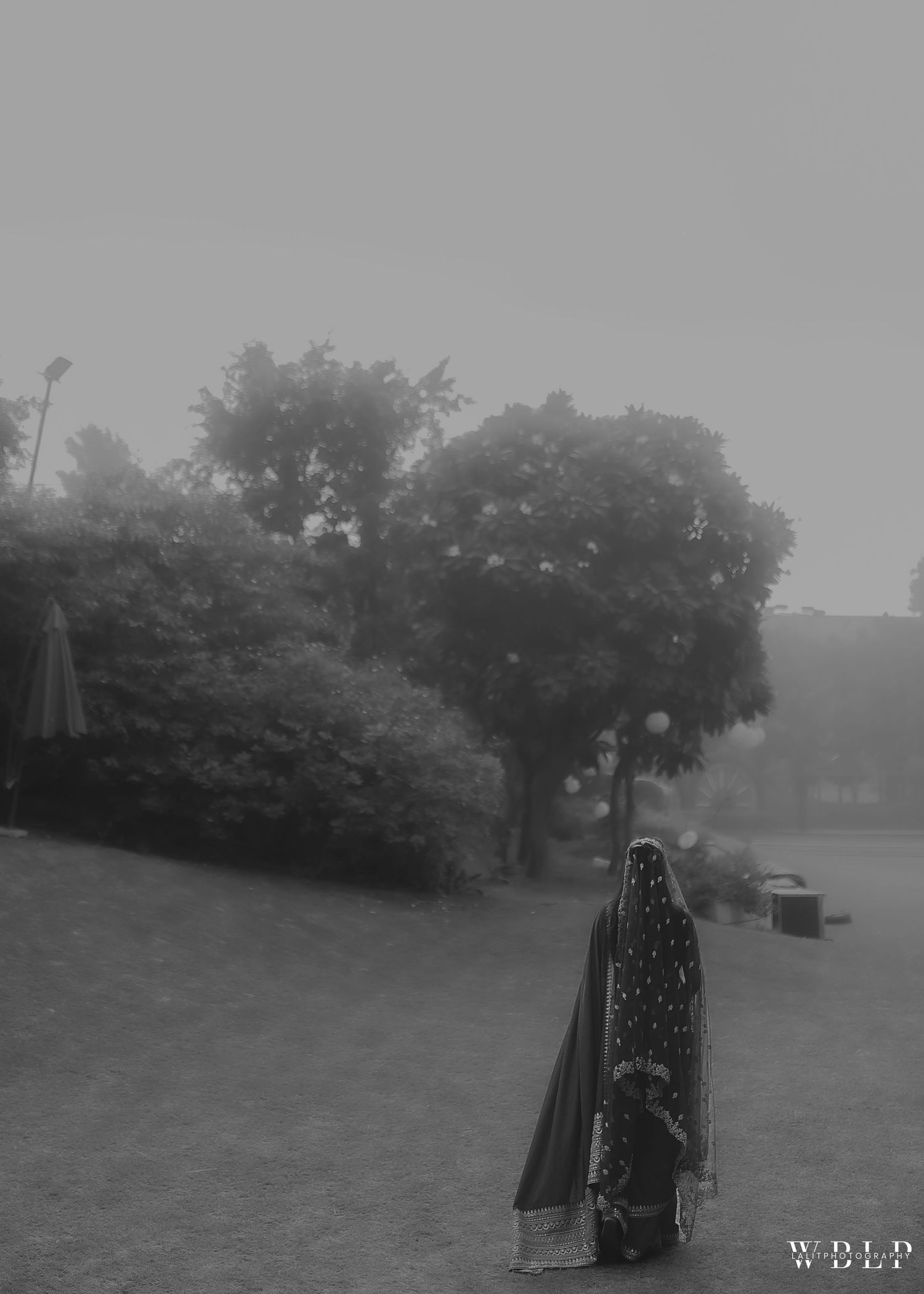 A misty backyard scene in black and white with a wooden fence post in the foreground and trees silhouetted in fog.