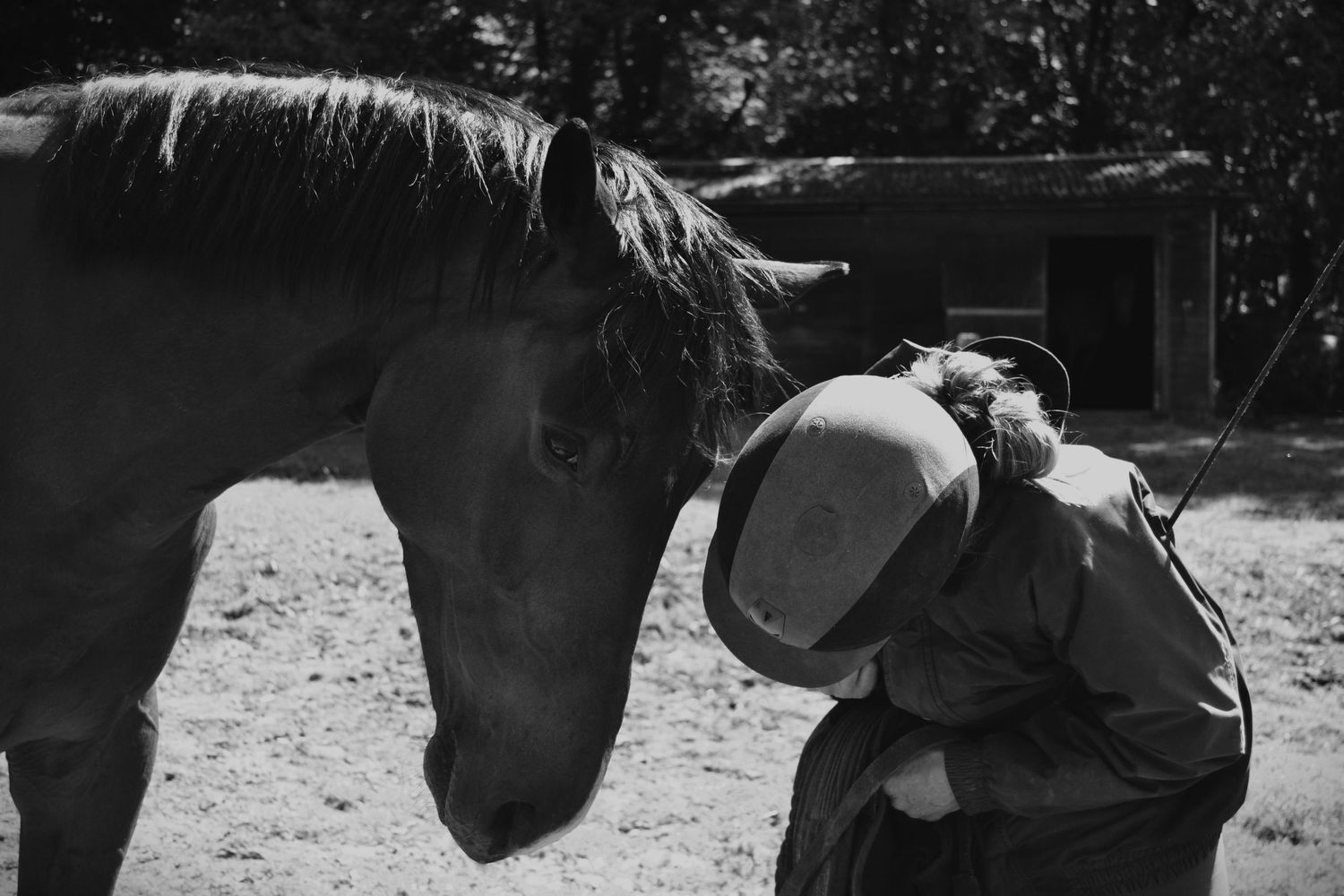Equine photo by Jasmine Amber Photography Hampshire Photographer