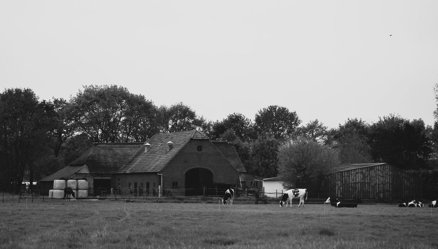 Photo by Jasmine Amber Photography Hampshire Photographer