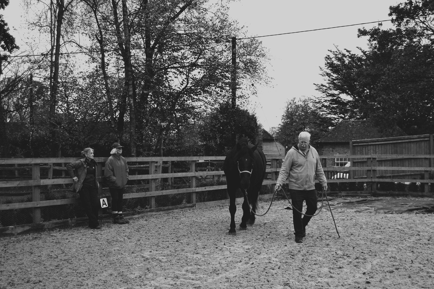 Equine photo by Jasmine Amber Photography Hampshire Photographer