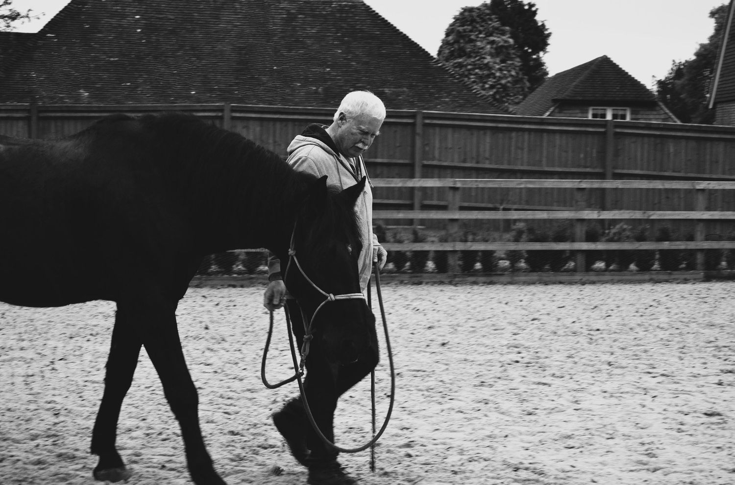 Equine photo by Jasmine Amber Photography Hampshire Photographer