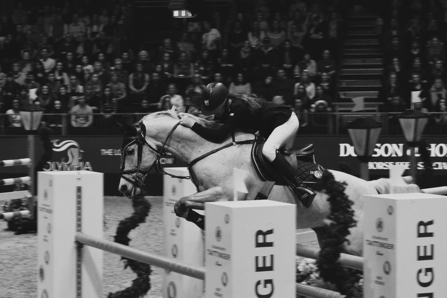Equine photo by Jasmine Amber Photography Hampshire Photographer