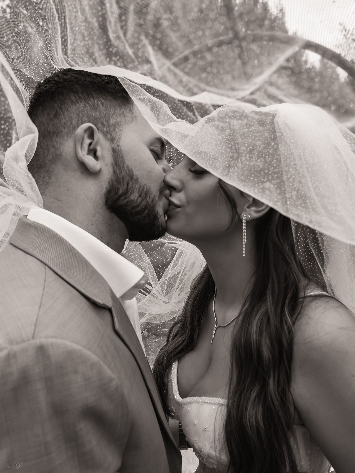 Black and white photo of bride and groom kissing tenderly under a dotted wedding veil.