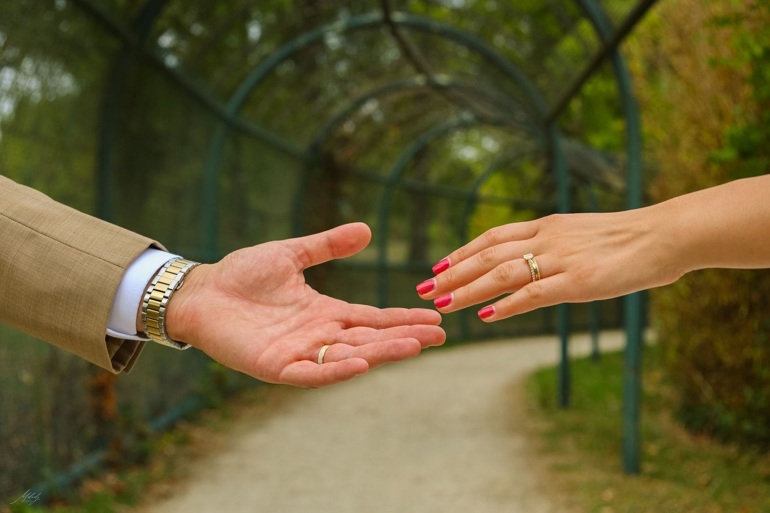 Two hands reaching toward each other on a garden path, woman wearing a ring and red nails, man wearing a gold watch.