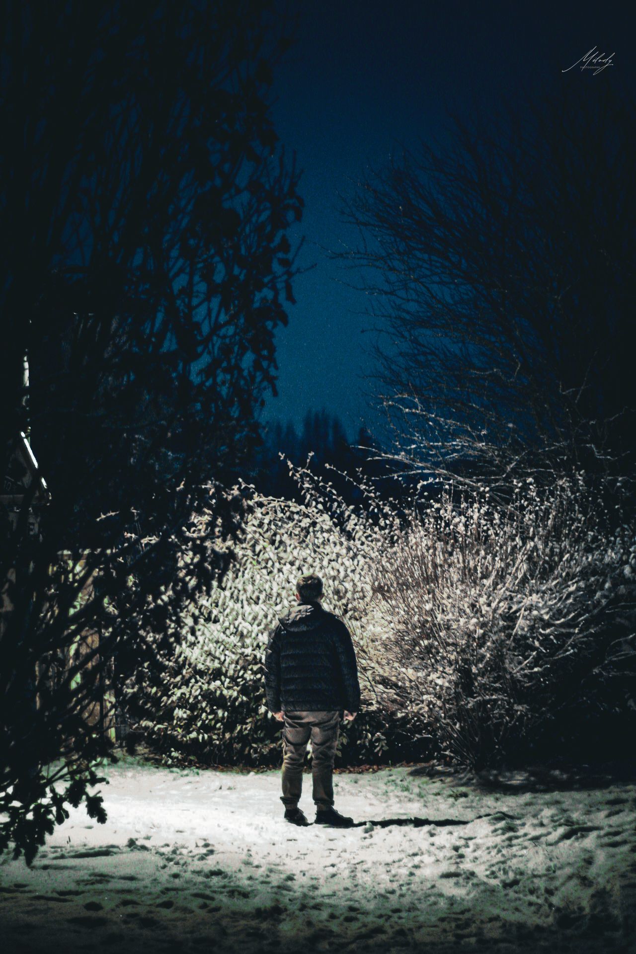 Little boy with snow