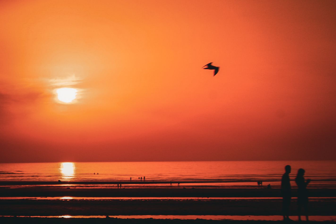 Deauville, mon amour