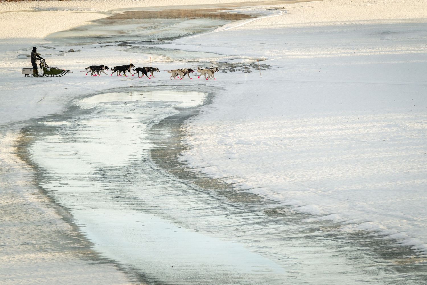 Dog sled team gliding across a frozen lake surface in winter. Mushingphotos.com Whitney McLaren Photography