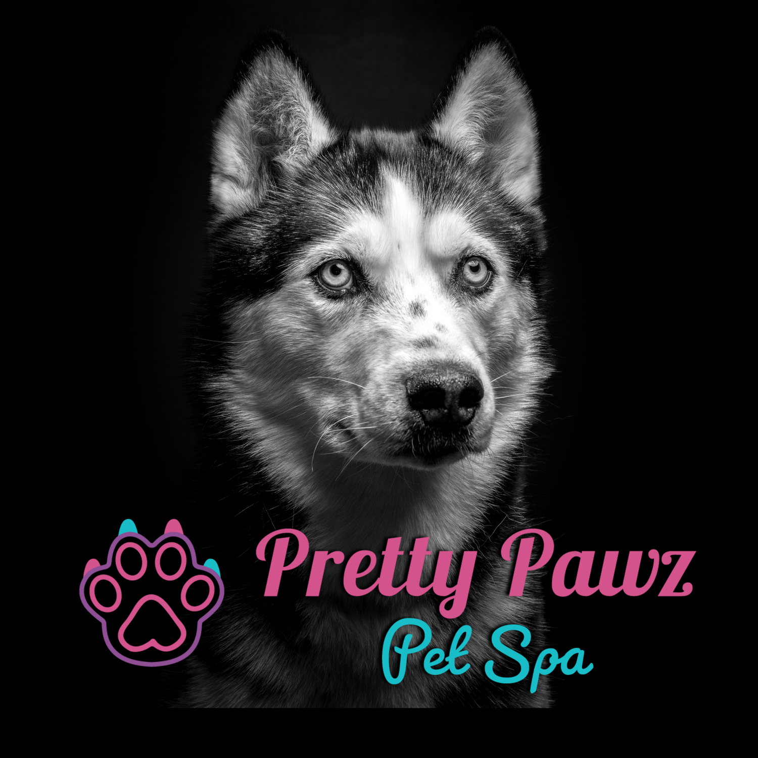 Black and white husky dog portrait with Pretty Pawz Pet Spa logo featuring pink paw print on dark background.