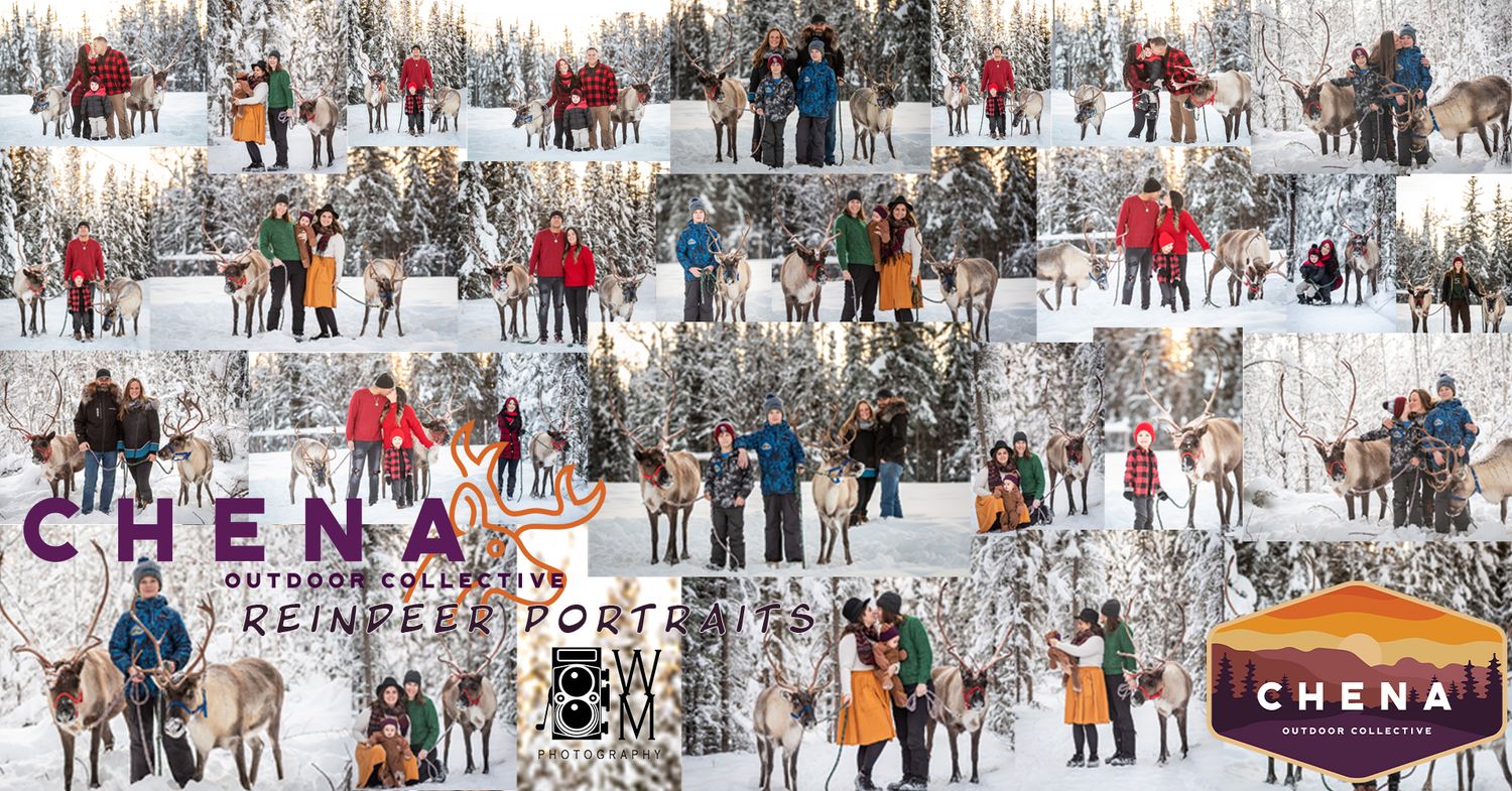 Groups pose with reindeer in snowy forest at Chena Outdoor Collective Reindeer Port, Fairbanks Alaska.