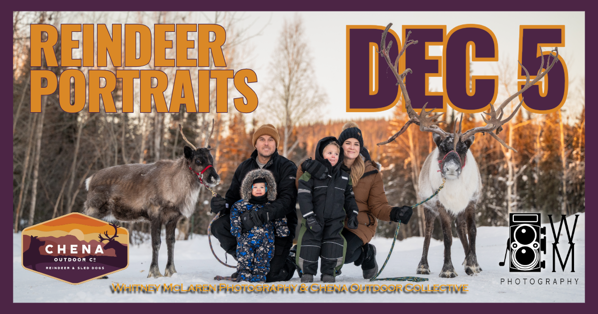 Family poses with reindeer in snowy forest for Dec 5 portrait event by Whitney McLaren Photography and Chena Outdoor Collective.
